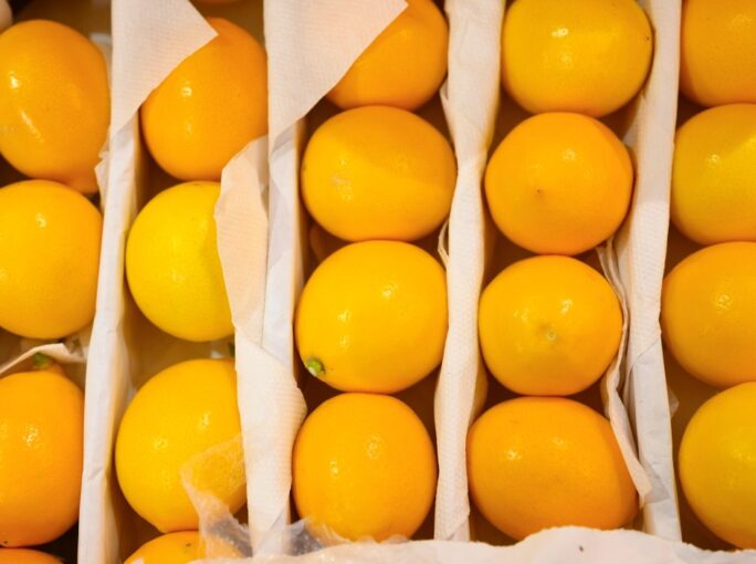 nom-a-pile-of-fruits-lemon-in-packaging-as-background-lemon-fruits-citrus-grocery-stores-background_t20_7yJmJB